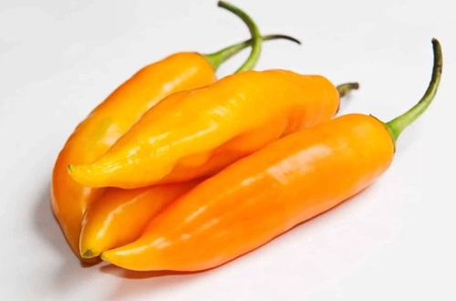 Ají amarillo