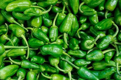 Pimiento de Padron