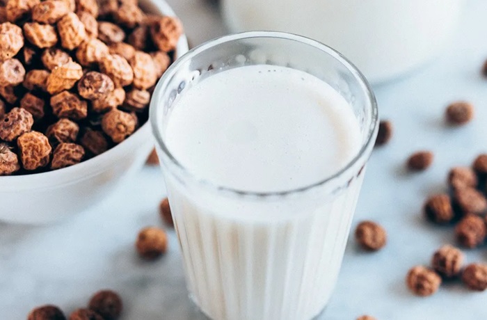 Receta de horchata de chufa española