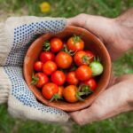 Circular food