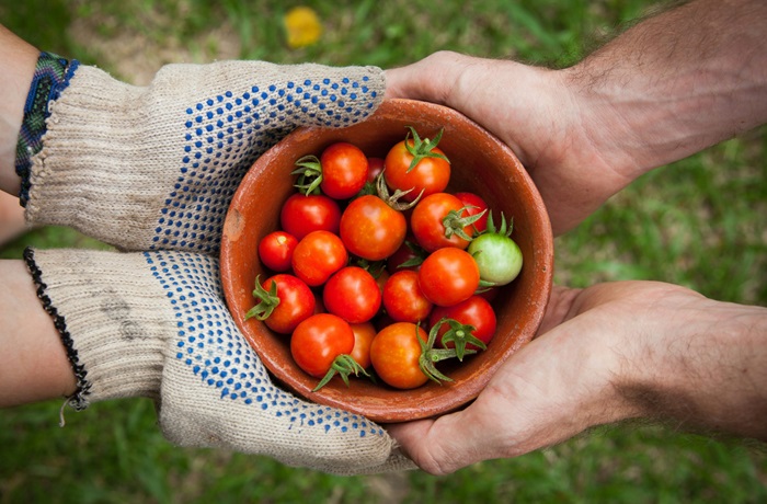 Circular food