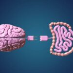 El impacto de los psicobióticos