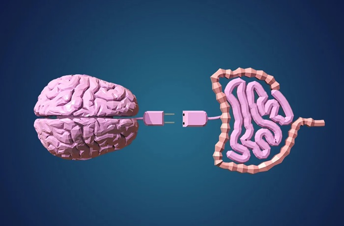 El impacto de los psicobióticos