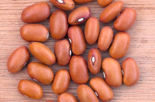 Frijoles bayos Una olla de frijoles bayos hirviendo con cebolla, ajo y hojas de laurel.