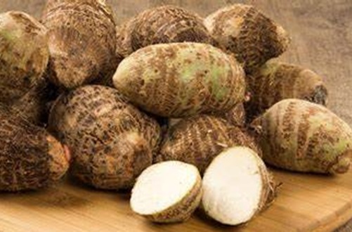 Malanga Malanga