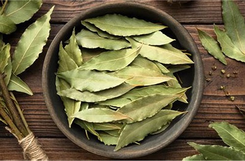 Hojas de laurel