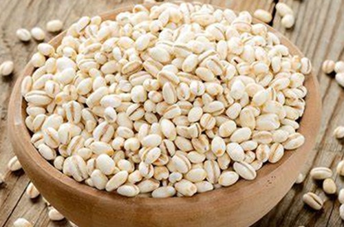 Cebada para pan Ezequiel Cebada perlada germinada para receta de pan ezequiel.