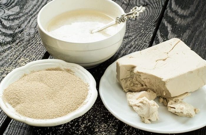 Levaduras para elaborar pan Levaduras para elaborar pan