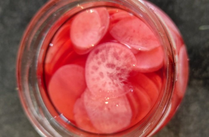 Encurtido de rabanito con limón y culantro receta peruana