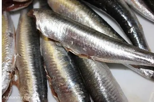 Boquerones Boquerones