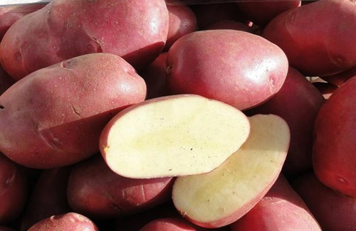 Papas Puyehue Papas Puyehue