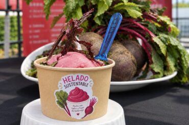 Helado Beta ICE hecho con hojas y tallos de betarraga en Chile