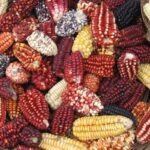¿Qué debes saber sobre la cocina peruana? 7 claves para entenderla