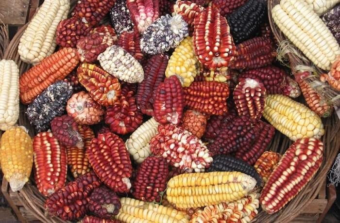 ¿Qué debes saber sobre la cocina peruana? 7 claves para entenderla