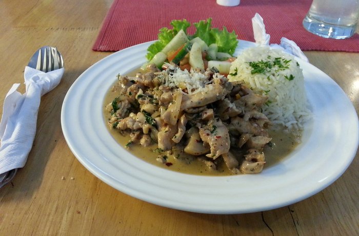 Strogonoff de pollo brasileño con arroz y papas pay receta casera